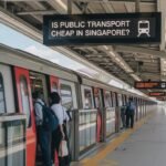 Affordable public transport options in Singapore, including buses, trains, and MRT.