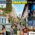 Things to do in Singapore this Weekend