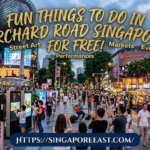 Fun Things to do in Orchard Road Singapore