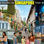 Things to do in Singapore this Weekend