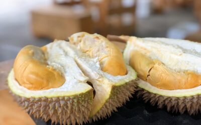 best durian in singapore east guide