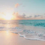 Free things to do in Singapore East 2026 — East Coast Park beach and park connector for walking, cycling, and morning outdoor activities at no cost