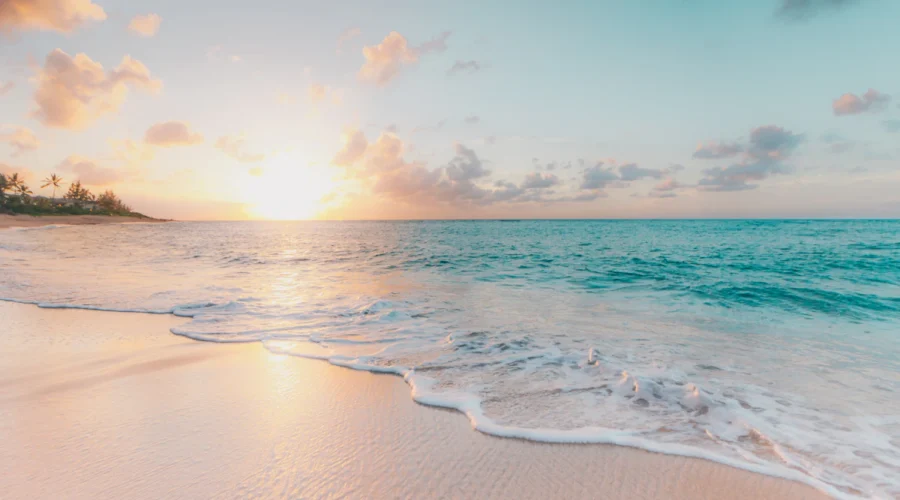 Free things to do in Singapore East 2026 — East Coast Park beach and park connector for walking, cycling, and morning outdoor activities at no cost