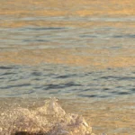 Changi Beach Park Singapore — coastal views and sandy shore