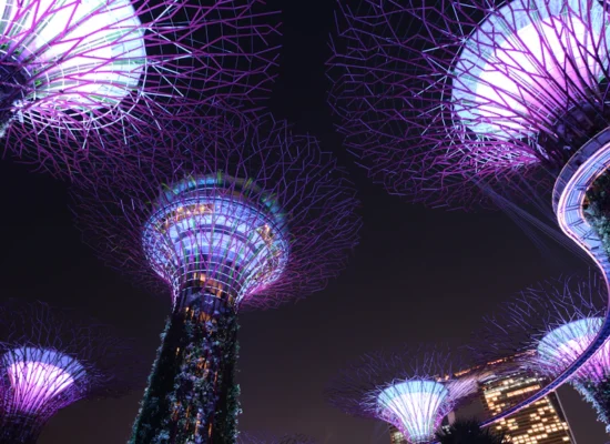 Things to do in Singapore category