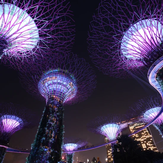 Things to do in Singapore category